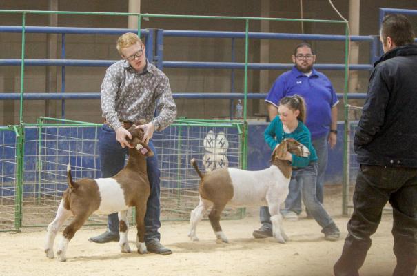 James Tinkler, left, with Buena Vista FFA was a two-time grand champion at the Pecos County Livestock Show, which was held at the Pecos County Coliseum, two weekends ago. Photo by Nathan Heuer