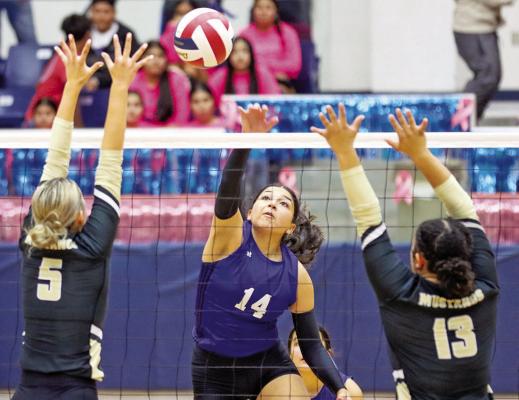Fort Stockton takes down Andrews in five in finale